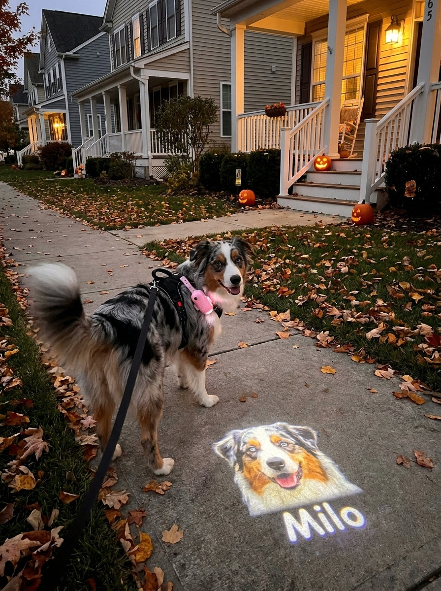 Personalized Pet Photo & Name Ground Projector Light for Pet Collar & Harness