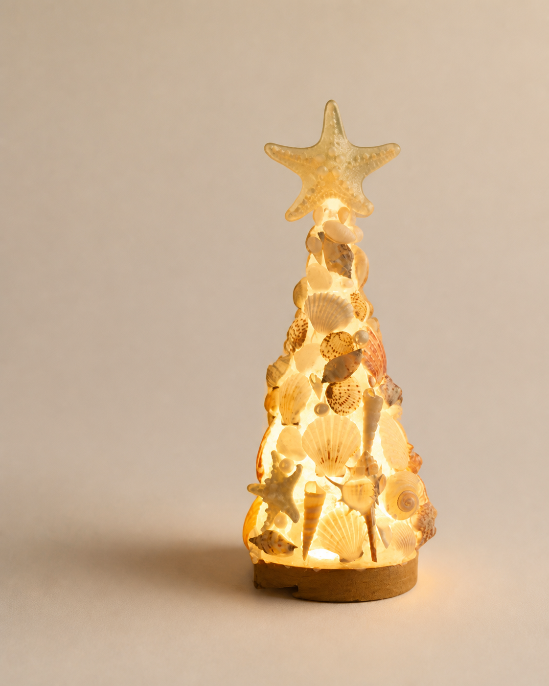 Seashell Glow Lamp Kit