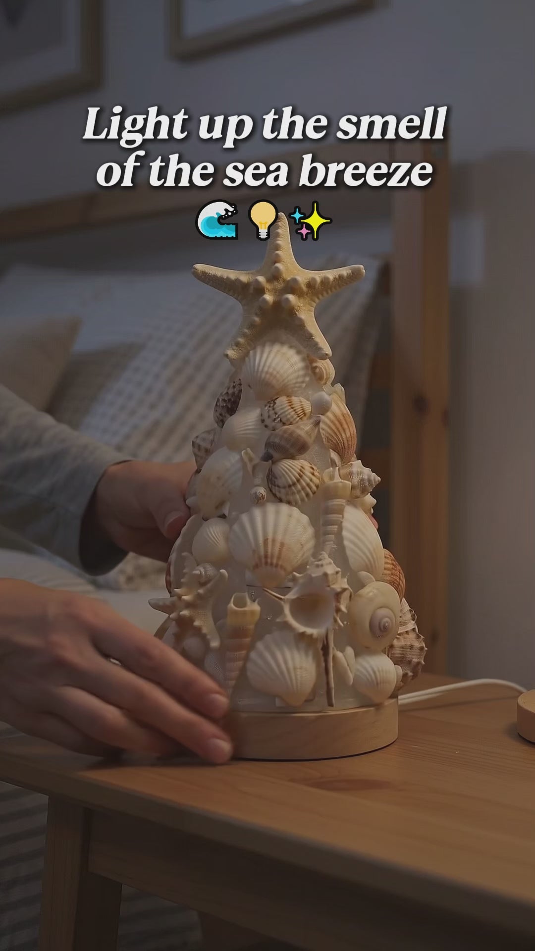 Seashell Glow Lamp Kit