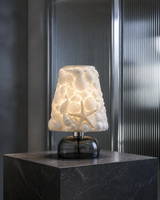 Seashell Glow Lamp Kit