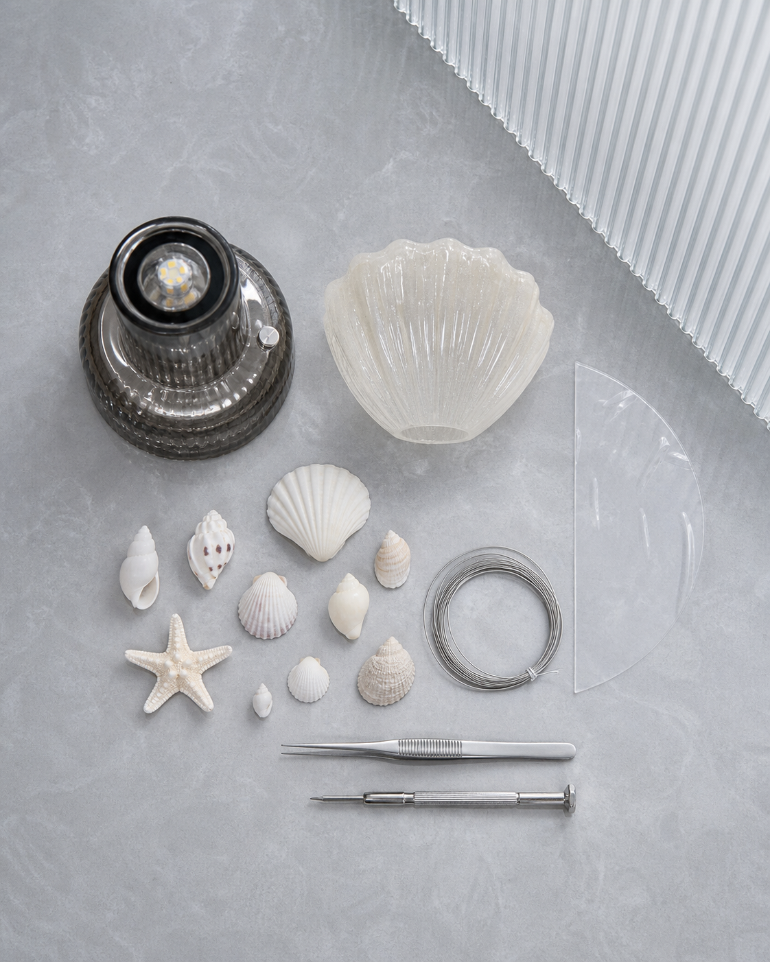 Seashell Glow Lamp Kit